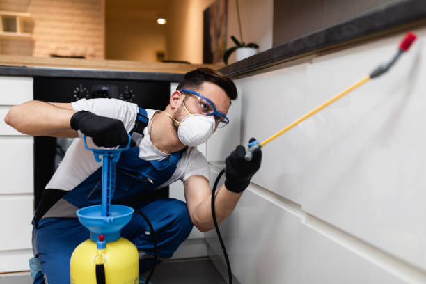 Best Flea Control Services  in Red Bluff, CA