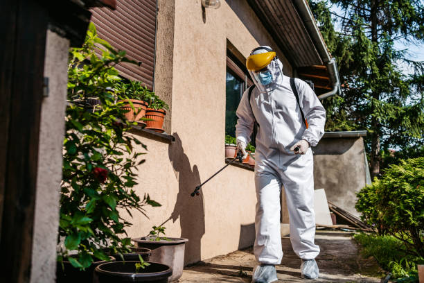 Best Bed Bug Extermination  in Red Bluff, CA