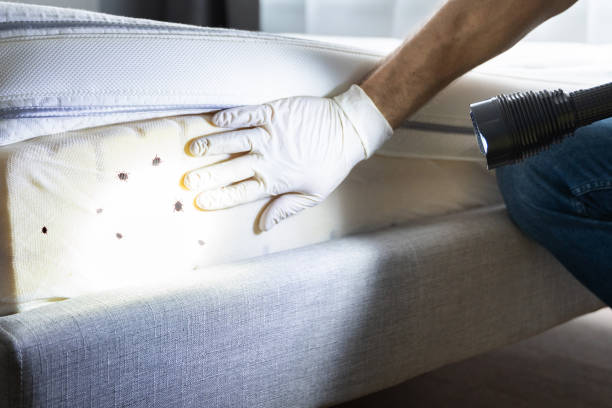 Best Pest Prevention Services  in Red Bluff, CA