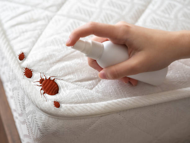 Best Pest Inspection Near Me  in Red Bluff, CA