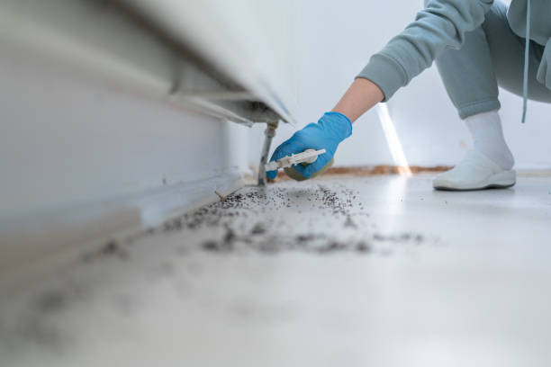 Best Pest Removal Services  in Red Bluff, CA